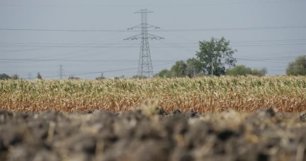 地平线高电压塔和电线蓝天上的田间土壤草丛树 — 图库视频影像