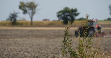 Traktör Plowing alan uzaktan toprak bulanık alanı çalılar dallar yeşil yaprakları ufuk uçan toz otomobil tahrik karayoluyla üzerinde ön plan ağaçlarda olduğunu