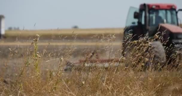Трактор проезжает мимо силуэта водителя камеры трактор вспахивает полевой плуг крупным планом сухой травы крупным планом качается на полевых машинах по дороге — стоковое видео