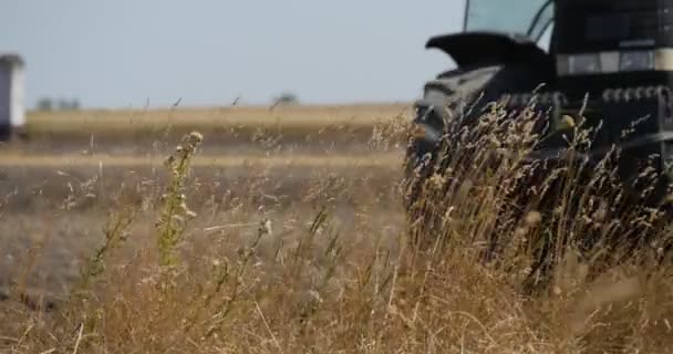 Ciągnik jest przechodzącej aparat koła Close Up ciągnika jest orki pole pług Zamknij się suchej trawy na samochody pole przy drodze na horyzoncie — Wideo stockowe