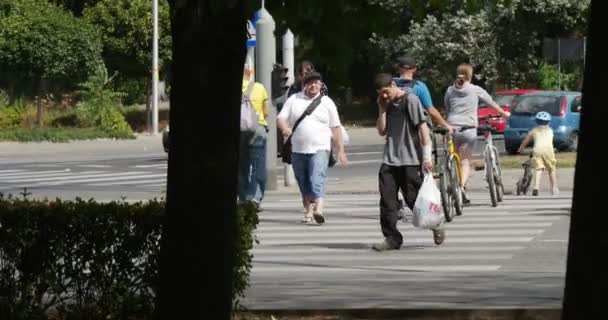 Велосипедисты и пешеходы ходят по переходу в Опольской Польше. Транспорт Go By Paved Road Asphalt Road Marking Sunny Summer Day — стоковое видео