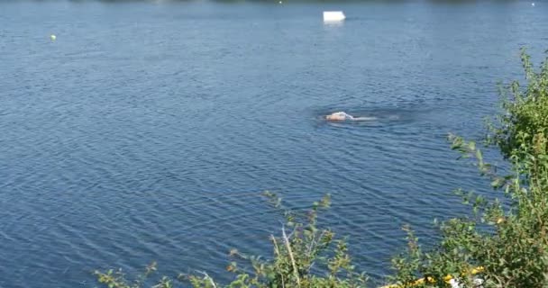 Nuotatore Distantly Man is Swimming in The Lake River Pond White Bouy is in the Water Blue Water Sky Reflection Green Trees Bushes at the Bank — Video Stock