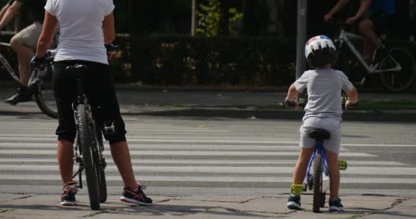 Femme Et Petit Enfant Dans Le Casque Sur Les Vélos Attendre Près De La Voitures De Crosswalk Passer Par La Route Auto Pavée Fermer Vue Ensoleillé Journée D'été Opole Pologne — Video