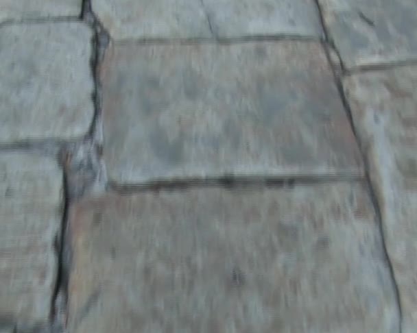 路是教会议案通过到索非亚的基辅寺大教堂寺庙的 Kievo Pecherska 修道院基辅拱门与石头铺成的路 — 图库视频影像