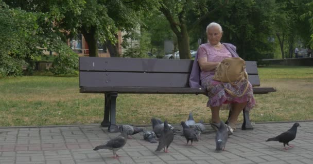 Серо-головая женщина сидит на скамейке и кормит голубей хлебными крошками в парке — стоковое видео