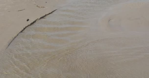 Meer Küste Meer Brandung kleine Wellen sauber klares Wasser nasser Sand in der Nähe viev sonnig Sommertag Meerlandschaft im Freien leba poland — Stockvideo