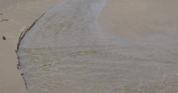 Θαλάσσια παράκτια θάλασσα surf μικρά κύματα καθαρό νερό υγρή άμμο κοντά viev ηλιόλουστη θερινή ημέρα Θαλασσογραφία ύπαιθρο leba Πολωνία — Αρχείο Βίντεο