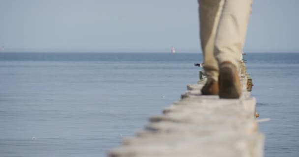 Möwen sitzen auf der Buhne Mann geht auf der Buhne und erschreckt die Möwen Sommertag klaren blauen Himmel Wellen Meereslandschaft — Stockvideo