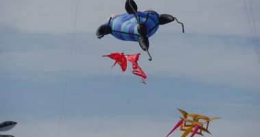 Gökyüzünde Çeşitli Uçurtmalar - Leba Uluslararası Uçurtma Festivali Her Türlü Ve Şekiller Uçurtma, Polonya Uçurtma Gökyüzünde Uçan vardır.