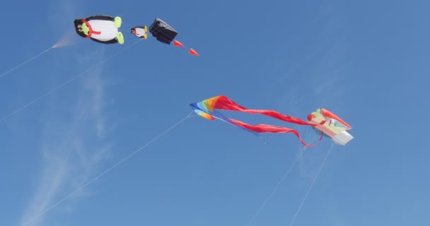 Cometas de todo tipo y formas en el Festival Internacional de Cometas en Leba, Polonia Cometas están volando en el cielo en la orilla del mar Báltico — Vídeos de Stock