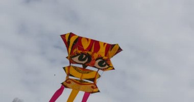 Dragon Uçurtma Festivali - uçurtma, tüm çeşit ve şekillerdeki Leba, Polonya uçurtma Uçurtma Festivali gökyüzünde uçuyor.