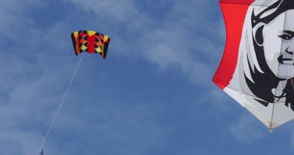 肖像画凧 - レバの国際凧祭りであらゆる種類と形の凧、ポーランドの凧が空を飛んでいる. — ストック動画