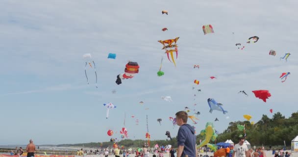 Många drakar och luft simmare sväva i himlen på den internationella kite Festival i Leba, Polen. Människor som flyger drakar på stranden. — Stockvideo