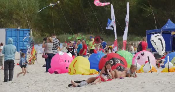 Zwierzęta odpoczywające na plaży-ludzie przygotowujący się latać latawce i Air Swimmers na międzynarodowym festiwalu Kite w Leba, Polska — Wideo stockowe