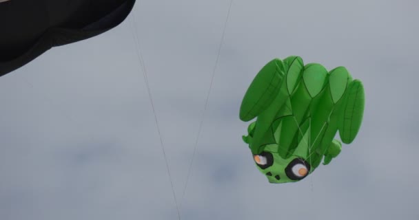 Frog air swimmer - Kites of All Kinds And Shapes on International Kite Festival in Leba, Poland Kites are Flying in The Sky. — Stock Video