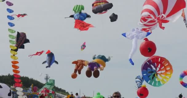 Dussintals drakar på himlen över Leba, Polen på den internationella kite Festival. — Stockvideo