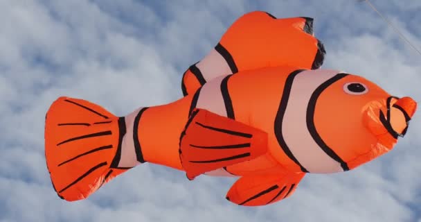 Clownfish vzduchu plavec - "Hledá se Nemo" znaky draci létání na mezinárodní Festival Kite Leba, Polsko draci létají v The Sky. — Stock video