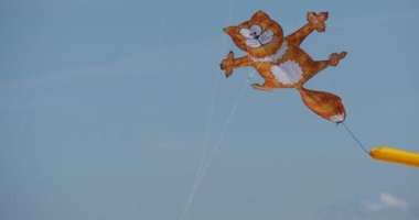 Kırmızı kedi uçurtma Uçurtma Festivali Leba, Polonya üzerinde Air mevcuttur