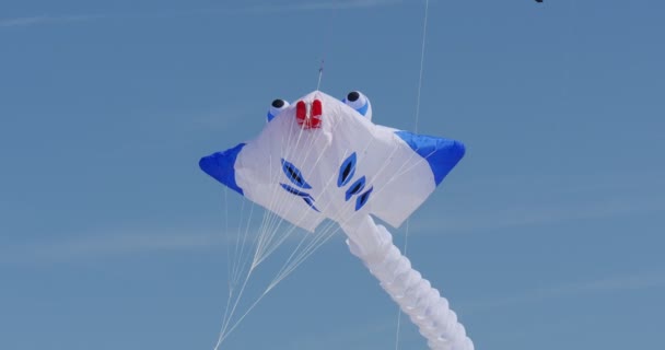 Mailleur d'air Cramp-fish - Les gens se préparent à voler cerfs-volants de toutes sortes et formes sur le Festival international de cerf-volant à Leba, Pologne — Video