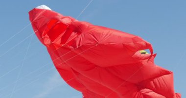 Leba Uluslararası Uçurtma Festivali'nde Her Türlü Uçurtma ve Şekiller Uçurtma, Polonya Uçurtma Baltık Denizi Kıyısında Gökyüzünde Uçan vardır