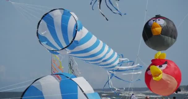 Angry Birds Air zwemmers-vliegers van alle soorten en vormen op de internationale Kite Festival in Leba, Polen vliegers vliegen in de lucht . — Stockvideo