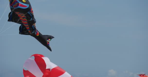 黒魚のエアスイマー - レバの国際凧祭りであらゆる種類と形の凧、ポーランドの凧が空を飛んでいる . — ストック動画