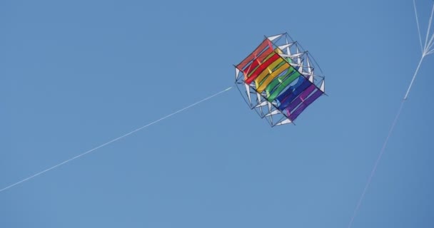Cubic kite-drakar av alla slag och former på International kite Festival i Leba, Polen drakar flyger i himlen på Östersjöns strand — Stockvideo