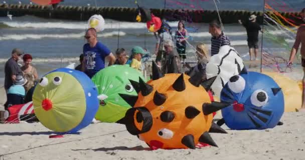 Powietrza pływaków na plaży - przygotowanie osób do latać latawce z wszystkich rodzajów i kształtów na międzynarodowym festiwalu latawców w Leba, Polska — Wideo stockowe