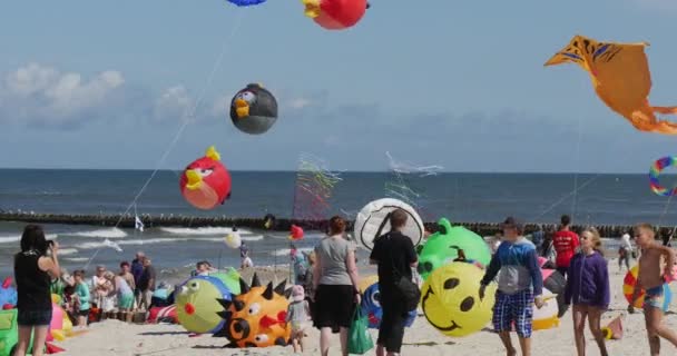 angry birds air swimmers