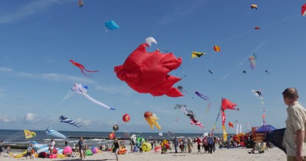 Vliegers van alle soorten en vormen op het internationale vlieger Festival in Leba, Polen vliegers vliegen in de lucht aan de oever van de Oostzee — Stockvideo