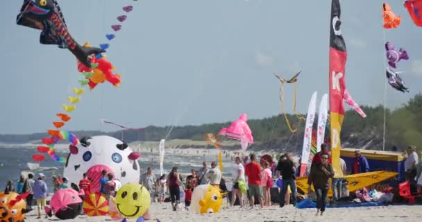 Peoplle Guardando un gruppo di aquiloni volare sul Festival Internazionale degli Aquiloni a Leba, Polonia Aquiloni stanno volando nel cielo sulla riva del Mar Baltico — Video Stock