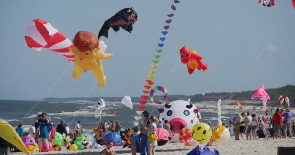 Peoplle sledování skupiny Kites létají na mezinárodním Kiteáském festivalu v Lebě, polští kanci létají na obloze na pobřeží Baltského moře — Stock video