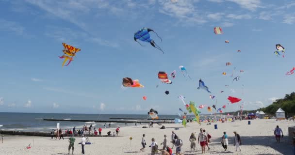 Drakar skyhöga på himlen i Leba, Polen under den internationella kite Festival. — Stockvideo