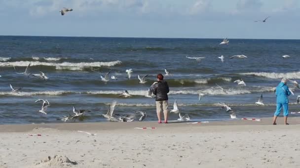 Gatorna i Leba, Polen under kite parad av International kite Festival. Människor som går flygande flaggor och slog trumman. — Stockvideo