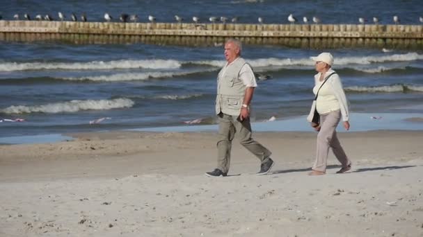 De straten van Leba, Polen tijdens de Kite parade van het internationale vliegerfestival. Mensen lopen vlaggen en verslaan de drum. — Stockvideo