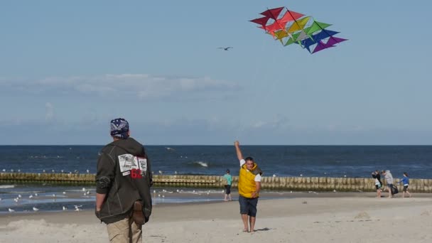 Vliegen een vlieger - mensen zijn hun vliegers vliegen op de internationale kite festival in Łeba, Polen. — Stockvideo