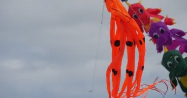 Ahtapot ve dinozorlar hava yüzücüler - uçurtma uçurtma ve hava yüzücüler, tüm çeşit ve şekillerdeki Uluslararası Festivali Leba, Polonya.