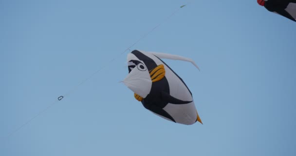 Maurské Idol a Seahorse Air Swimmers - draci a vzduchu plavci ze všech druhů a tvarů na mezinárodní kite festival v Leba, Polsko. — Stock video