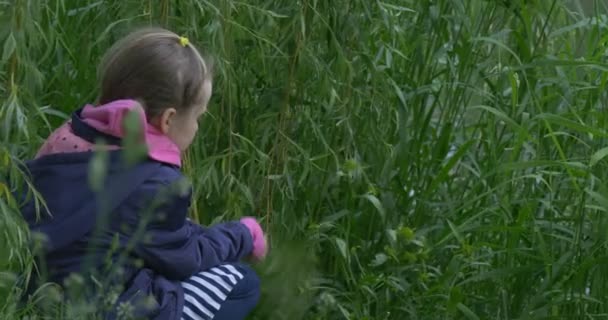 Vue rapprochée Enfant fille au bord du lac assis dans l'herbe haute — Video