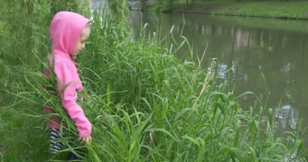 Szczelnie-do góry dziecko dziewczynka nad jeziorem siedzi w wysokiej trawie — Wideo stockowe