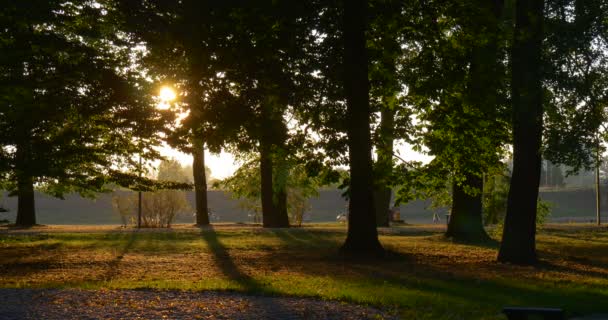 丘の下の人々は、川の木々の幹の夕日の早い夕方に木公園の森の木の緑の葉を通して、丘の太陽の光を遠く離れた人々 — ストック動画