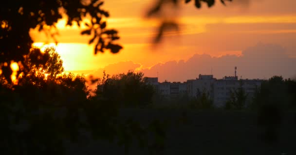 ピンクの雲の木の枝のシルエットと黄色い空を背景に明るい夕日の建物住民の家は夏の屋外 — ストック動画