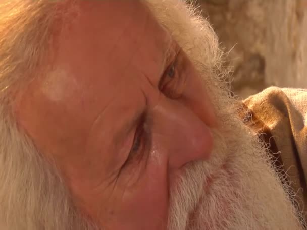 Vieil homme à la barbe et à la moustache, acteur, ancien artisan des fresques, travaillant, intérieur de la cathédrale de Sophia à Kiev — Video