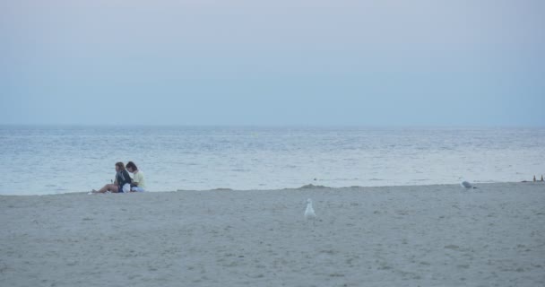 Dos jóvenes descansan en la playa, en la costa, en la playa de arena, la gente está sentada, hablando, disfrutando del buen tiempo, las gaviotas — Vídeos de Stock