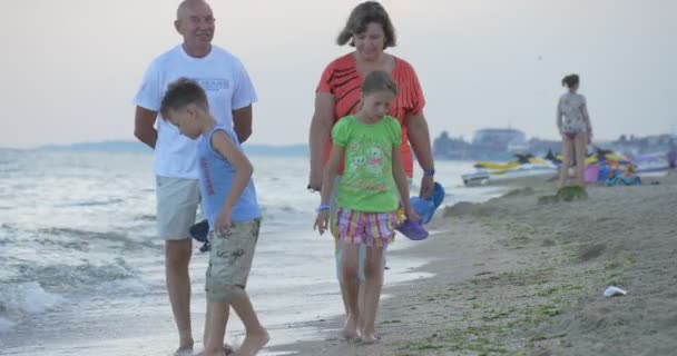 가족, 엄마, 아빠, 어린이 걷고 있다 회색 강아지와 함께 카메라를 향해 사람들이 휴식은 해변, 해안선, 모래 사장에 — 비디오