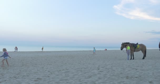 İki kız atları ile parlak sarı kız ata, insanlar bir dinlenme sahil üzerinde var, kıyı şeridi, Sandy Beach, insanlar yürüyüş vardır — Stok video