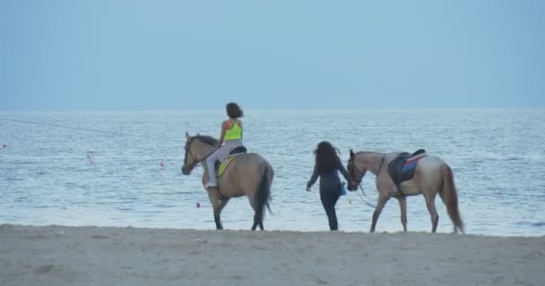 Dívka je jízda na koni, dívka vede koně pláž, moře, pobřeží, Sandy Beach, lidé jsou pěší, brzy večer