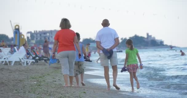 Famiglia, Mamma, Papà, Figlio e Figlia, Cane Grigio, Persone, Famiglie, Genitori, Bambini hanno un Riposo sulla spiaggia di sabbia, Mare, Mare, Passeggiate in Poco Profondo — Video Stock