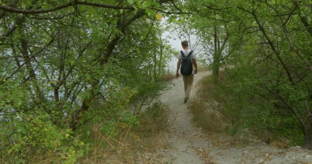Man Tourist man in wit T-shirt met rugzak is lopen naar beneden door voetpad op de groene heuvel stopt staande wandelen begroeide heuvel groene Buches bomen — Stockvideo