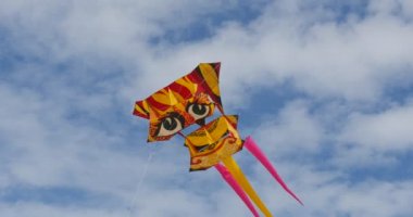 Festival de Kuyruklu Ejderha Uçurtma - Leba Uluslararası Uçurtma Festivali'nde Her Türlü ve Şekiller Uçurtma, Polonya Uçurtma Gökyüzünde Uçan vardır.